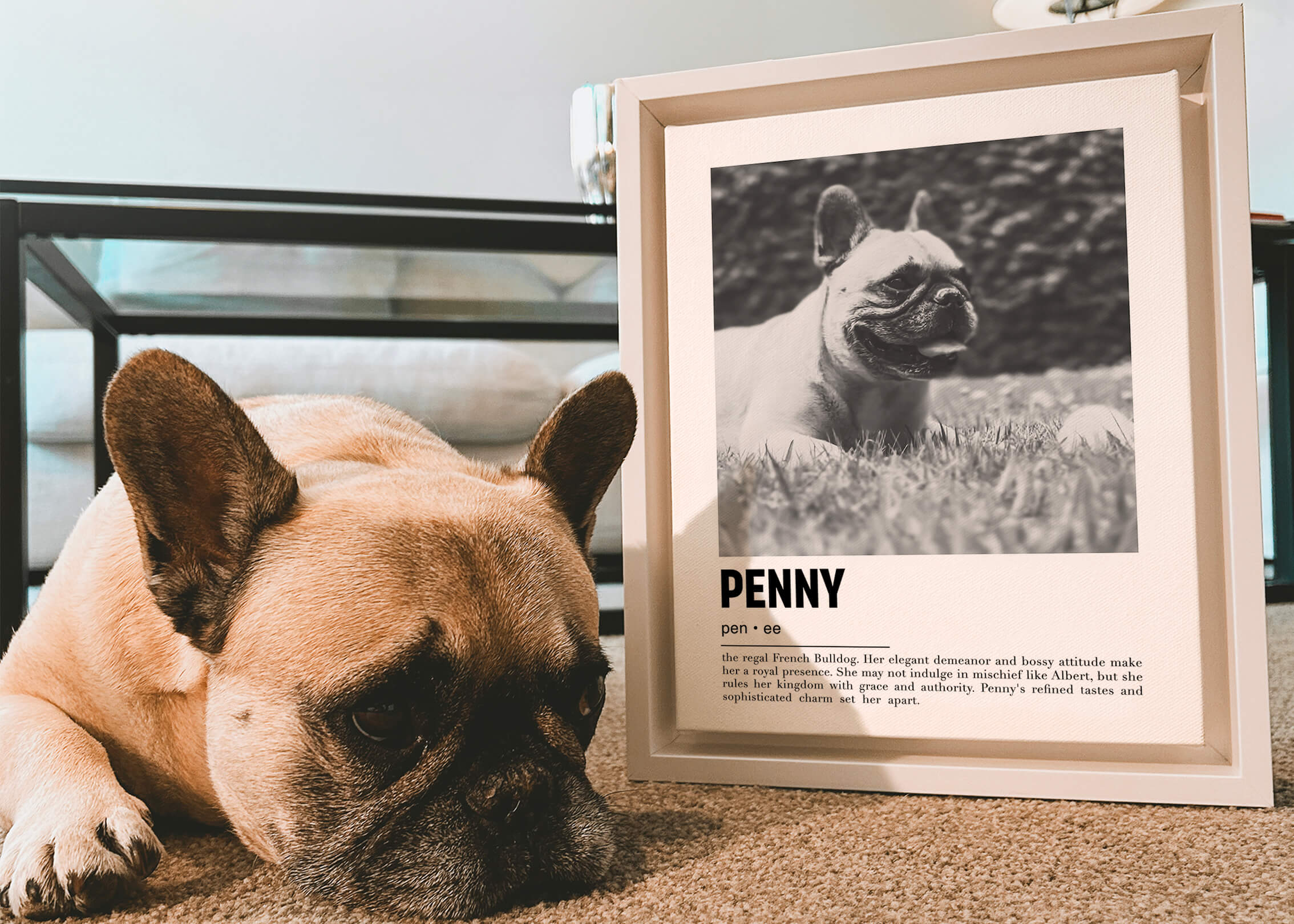 Personalized Dog Gifts Custom Pet Portraits by Vogue Paws
