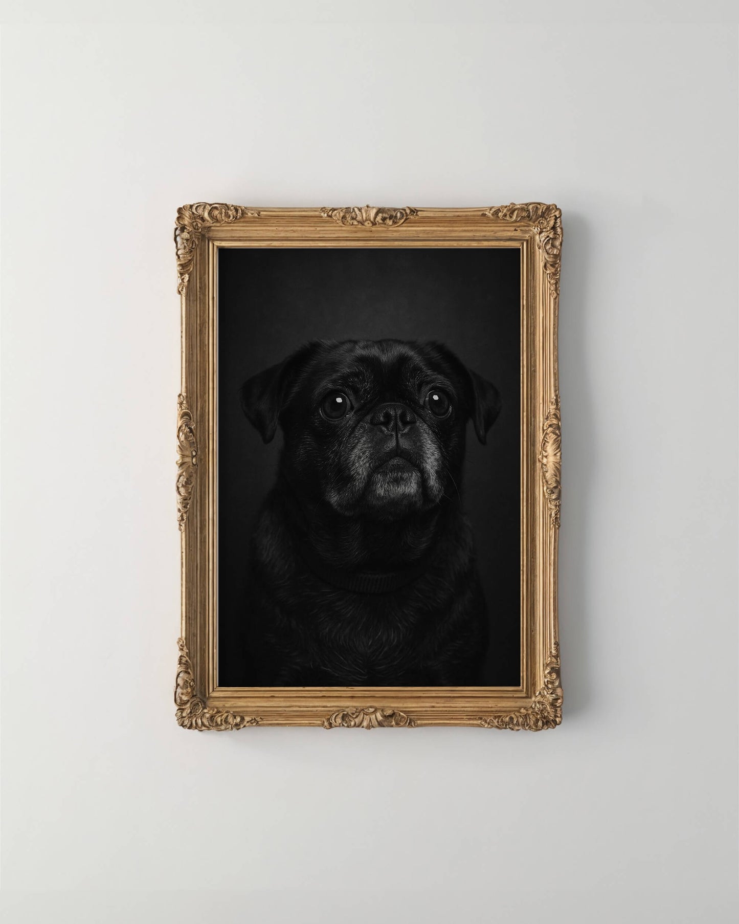 The Noir 2.0 Pet Portrait - Digital