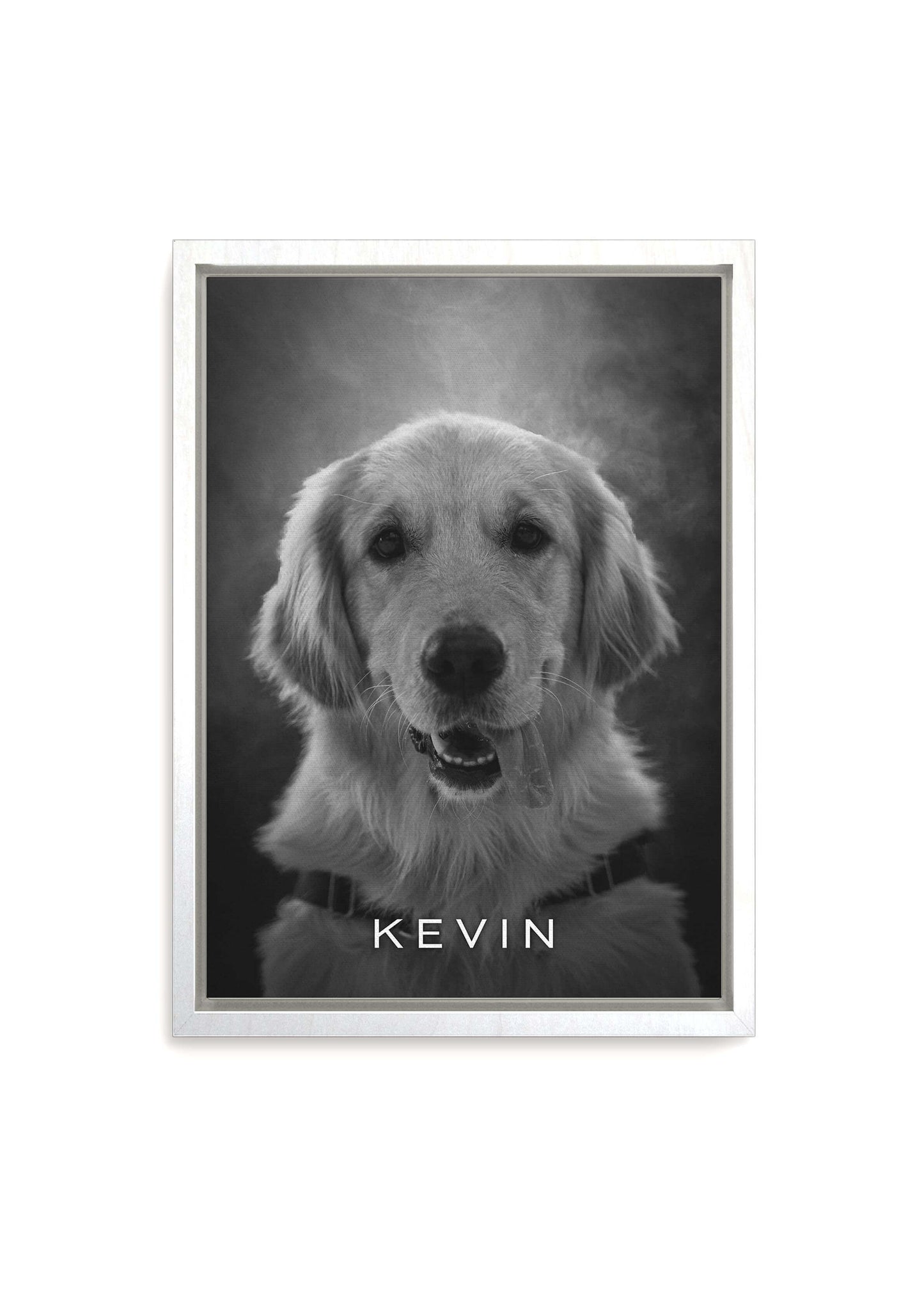 dog memorial black and white pet art white frame canvas