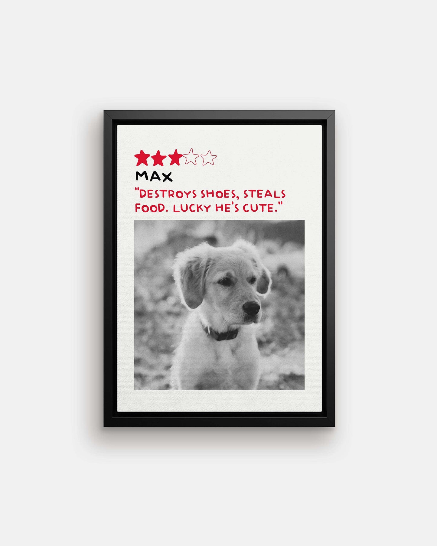 Golden Retriever dog puppy photo printed in black and white custom art on canvas and mounted on wall of contemporary home decor living space creating a unique custom gift idea for dog mom and dog dad pet parents made by vogue paws personalized pet portrait dog art