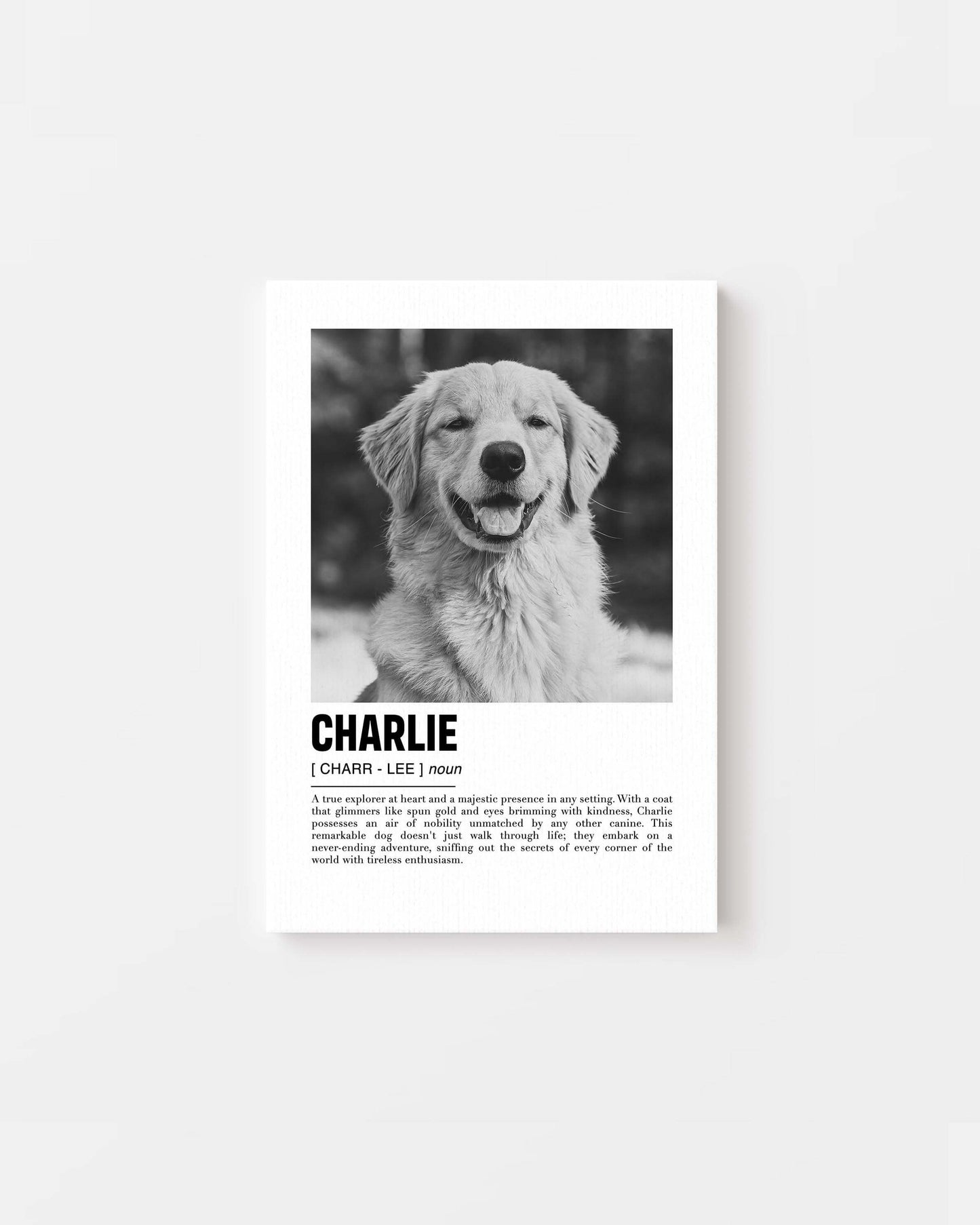 golden retriever dog photo printed onto canvas to make the perfect pet portrait gift idea for dog mom and dog dad pet parents made by vogue paws pet art on demand