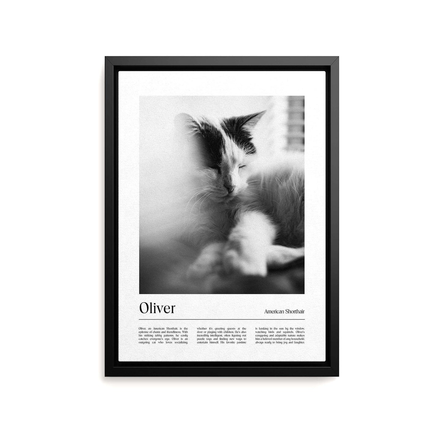 Personalized cat portrait on canvas with custom details, featuring a custom photo of a beloved feline. Ideal for custom pet portraits, this artwork serves as a beautiful cat memorial gift or personal pet art for the home. Perfect for custom pet canvas, personalized pet portrait art, and custom cat artwork.