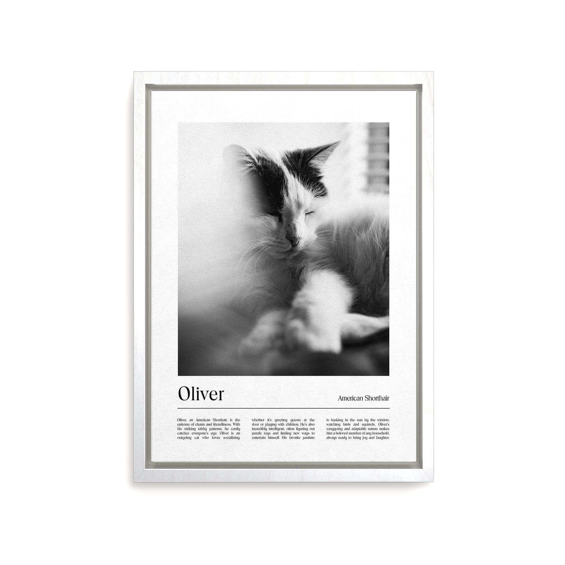 Personalized cat memorial portrait on canvas with custom details, featuring a custom photo of a beloved feline. Ideal for custom pet portraits or cat memorial gift ideas, this artwork serves as a beautiful cat memorial gift or personal pet art for the home. Perfect for custom pet canvas, personalized pet portrait art, cat memorial gifts and custom cat artwork.