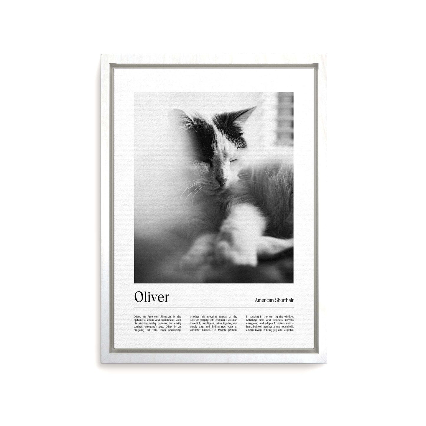 Personalized cat portrait on canvas with custom details, featuring a custom photo of a beloved feline. Ideal for custom pet portraits, this artwork serves as a beautiful cat memorial gift or personal pet art for the home. Perfect for custom pet canvas, personalized pet portrait art, and custom cat artwork.
