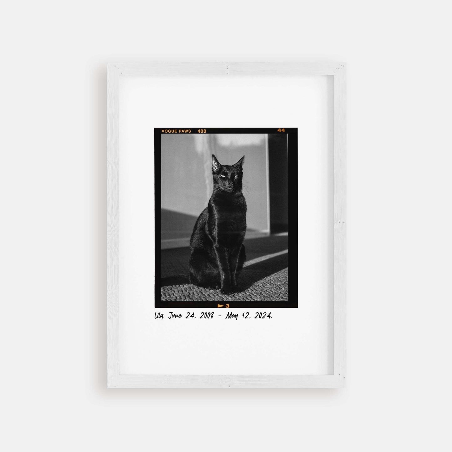 personalized cat memorial gift idea