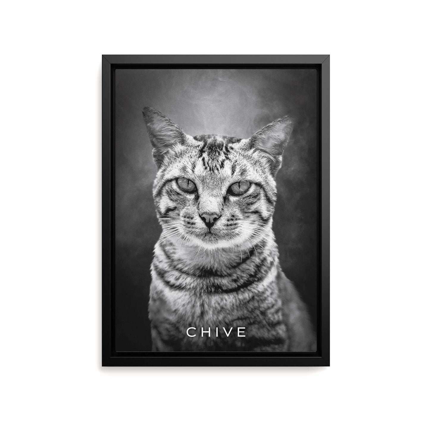Personalized cat portrait on canvas with custom details, featuring a custom photo of a beloved feline. Ideal for custom pet portraits, this artwork serves as a beautiful cat memorial gift or personal pet art for the home. Perfect for custom pet canvas, personalized pet portrait art, and custom cat artwork.