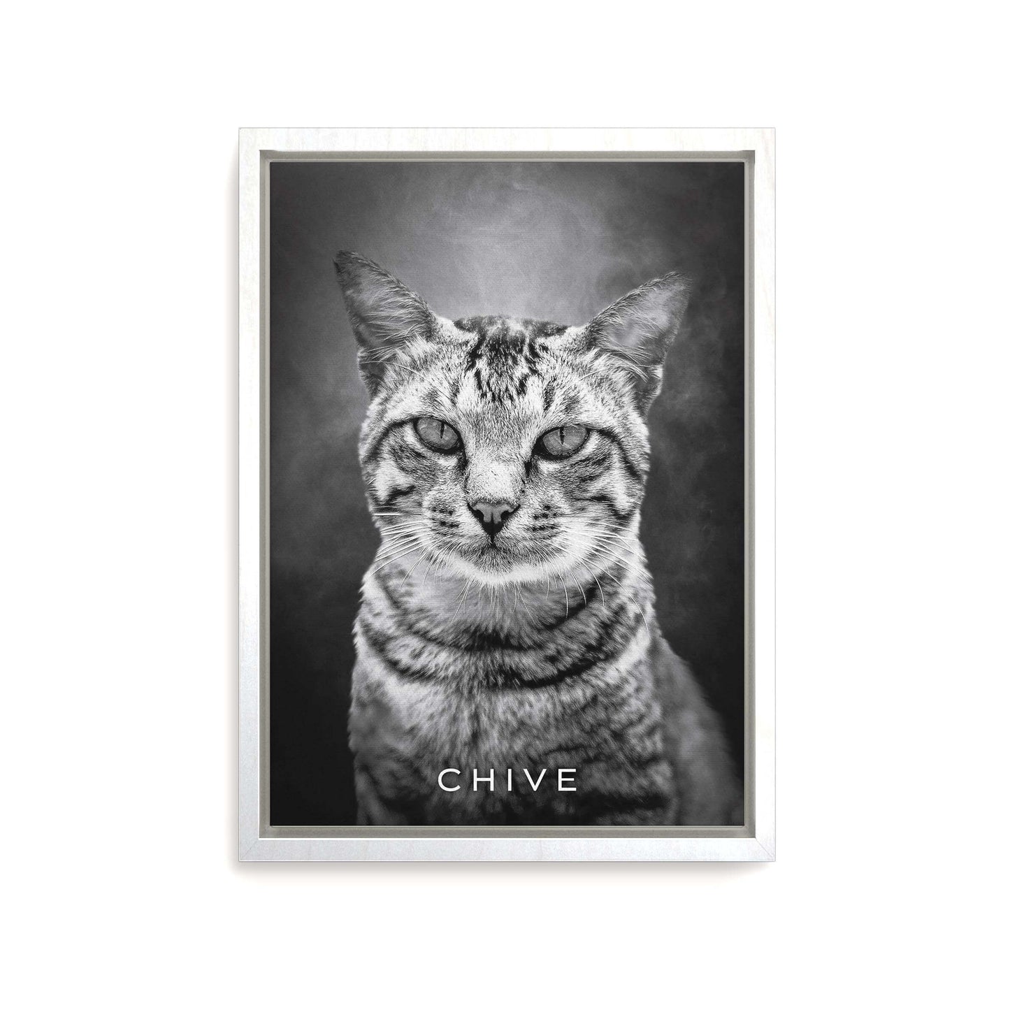 Personalized cat portrait on canvas with custom details, featuring a custom photo of a beloved feline. Ideal for custom pet portraits, this artwork serves as a beautiful cat memorial gift or personal pet art for the home. Perfect for custom pet canvas, personalized pet portrait art, and custom cat artwork.