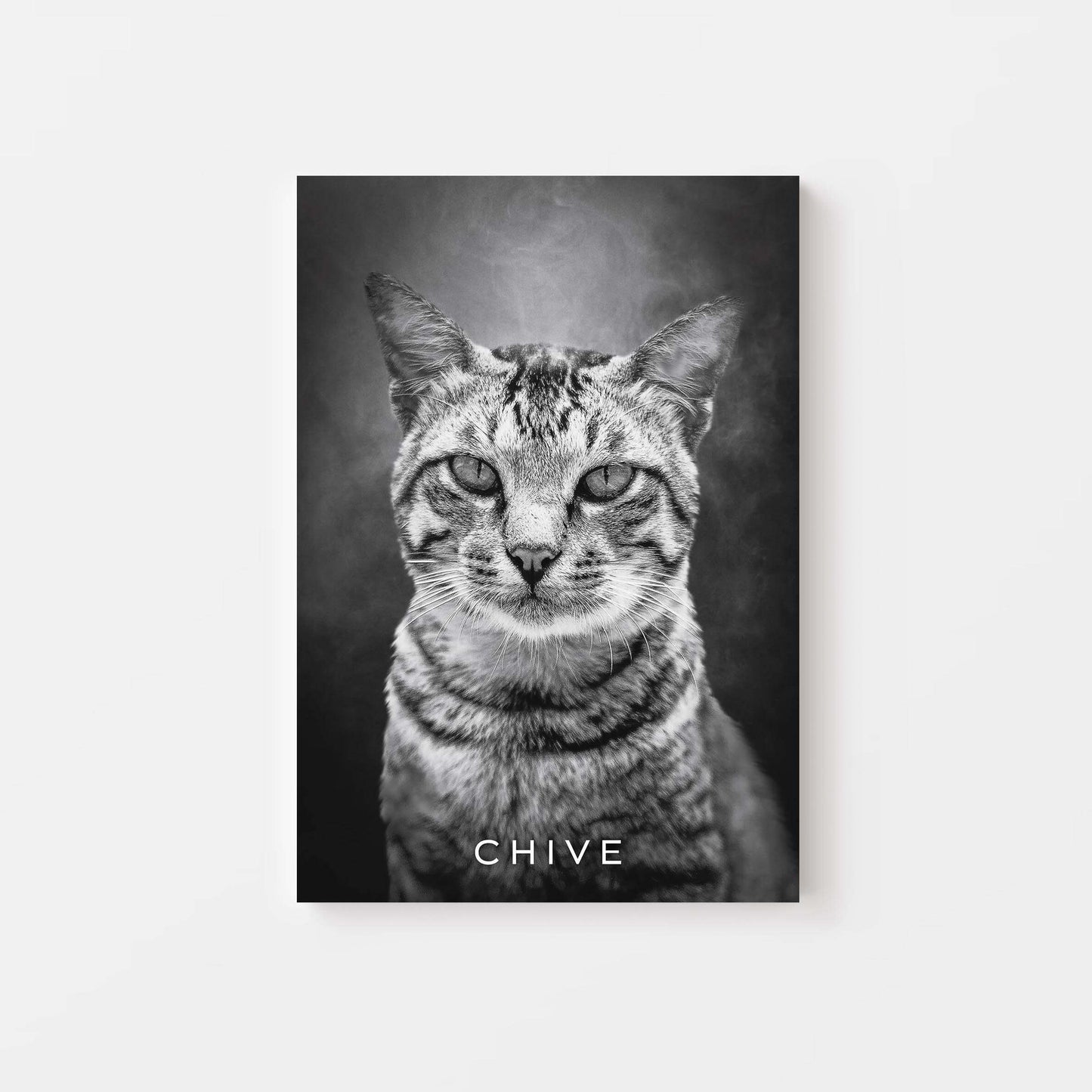 Personalized cat portrait on canvas with custom details, featuring a custom photo of a beloved feline. Ideal for custom pet portraits, this artwork serves as a beautiful cat memorial gift or personal pet art for the home. Perfect for custom pet canvas, personalized pet portrait art, and custom cat artwork.