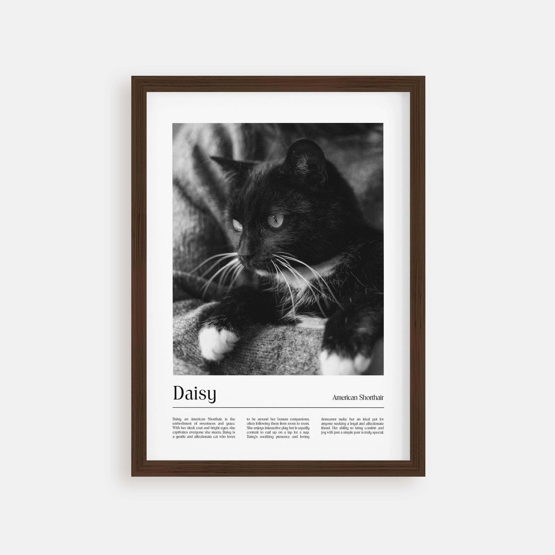 cat memorial gift pet art