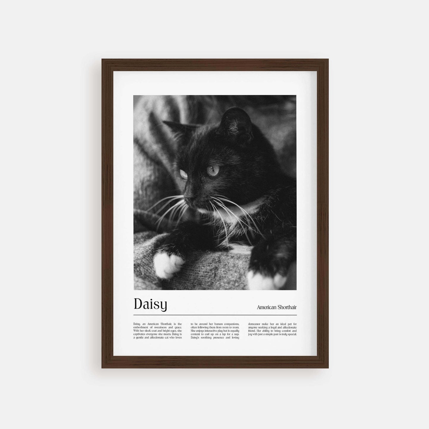 Personalized cat portrait in a picture frame with custom details, featuring a custom photo of a beloved feline. Ideal for custom pet portraits, this artwork serves as a beautiful cat memorial gift or personal pet art for the home. Perfect for custom pet frames, personalized pet portrait art, and custom cat artwork.