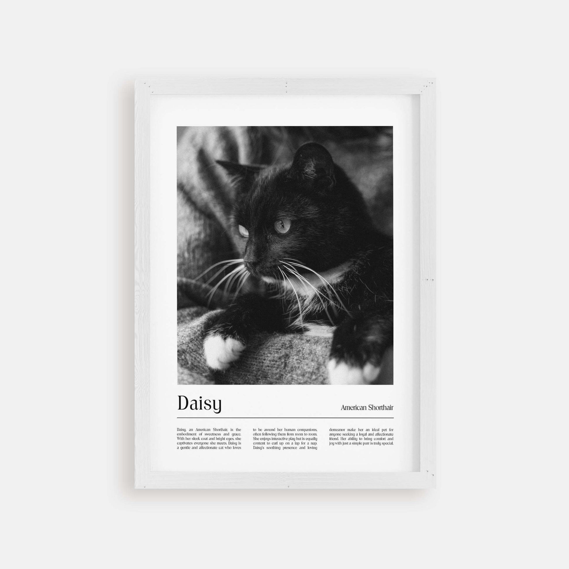 cat memorial gift pet art