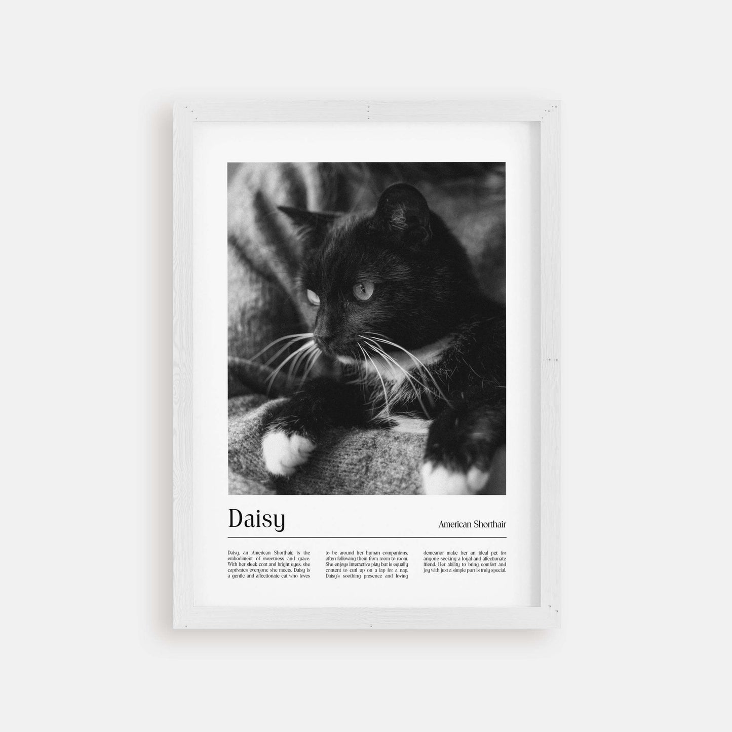 Personalized cat portrait in a picture frame with custom details, featuring a custom photo of a beloved feline. Ideal for custom pet portraits, this artwork serves as a beautiful cat memorial gift or personal pet art for the home. Perfect for custom pet frames, personalized pet portrait art, and custom cat artwork.