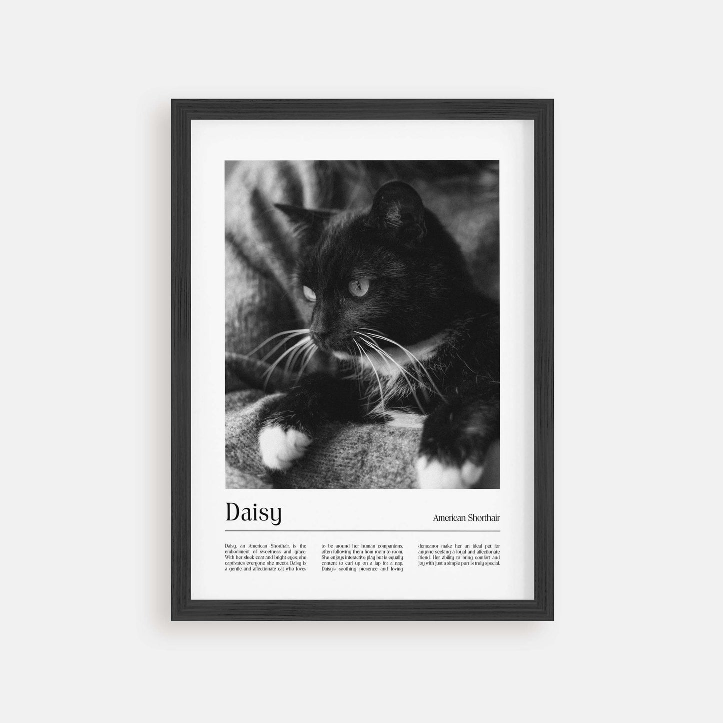Personalized cat portrait in a picture frame with custom details, featuring a custom photo of a beloved feline. Ideal for custom pet portraits, this artwork serves as a beautiful cat memorial gift or personal pet art for the home. Perfect for custom pet frames, personalized pet portrait art, and custom cat artwork.