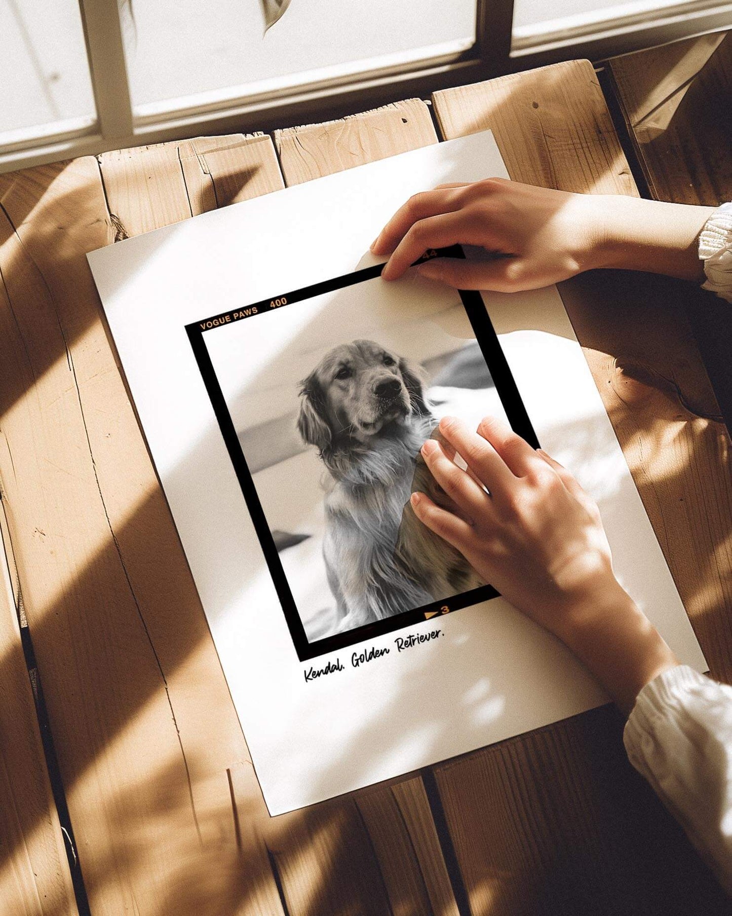 Vogue Paws Film Negative - Custom Pet Poster