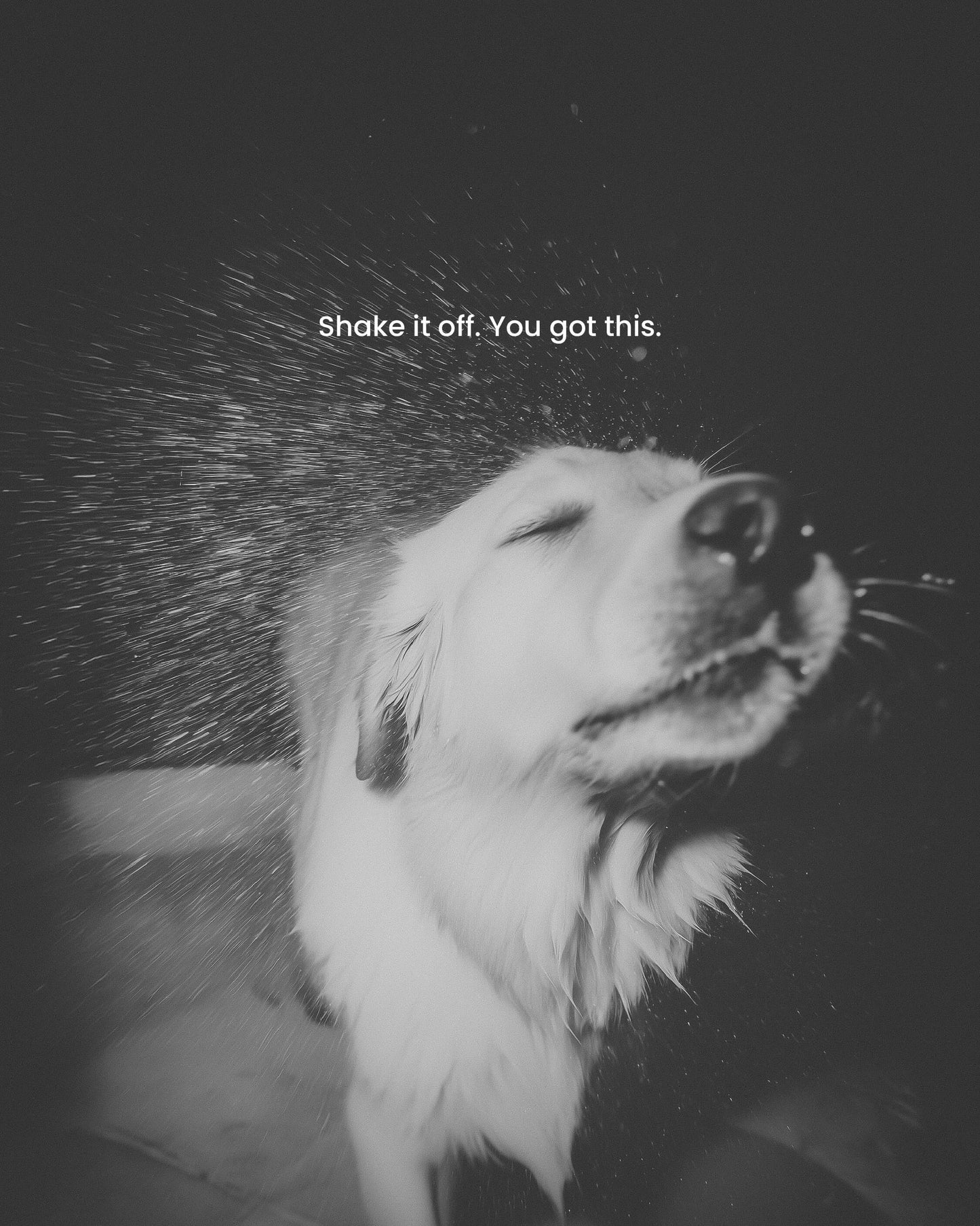 dog, dog art, dog mom, dog dad, gift for dog mom, gift for dog dad, golden retriever, golden retriever art, black and white art, dog wall art, inspirational dog quote, meaningful dog gift, pet lover gift, muddy dog, smiling dog, dog photography print, motivational dog poster, dog decor, dog lover wall art