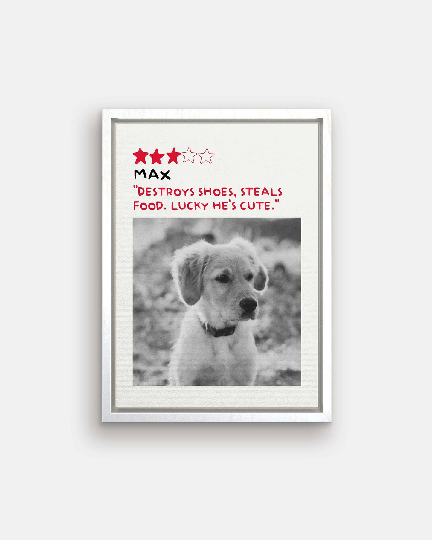 Golden Retriever dog puppy photo printed in black and white custom art on canvas and mounted on wall of contemporary home decor living space creating a unique custom gift idea for dog mom and dog dad pet parents made by vogue paws personalized pet portrait dog art