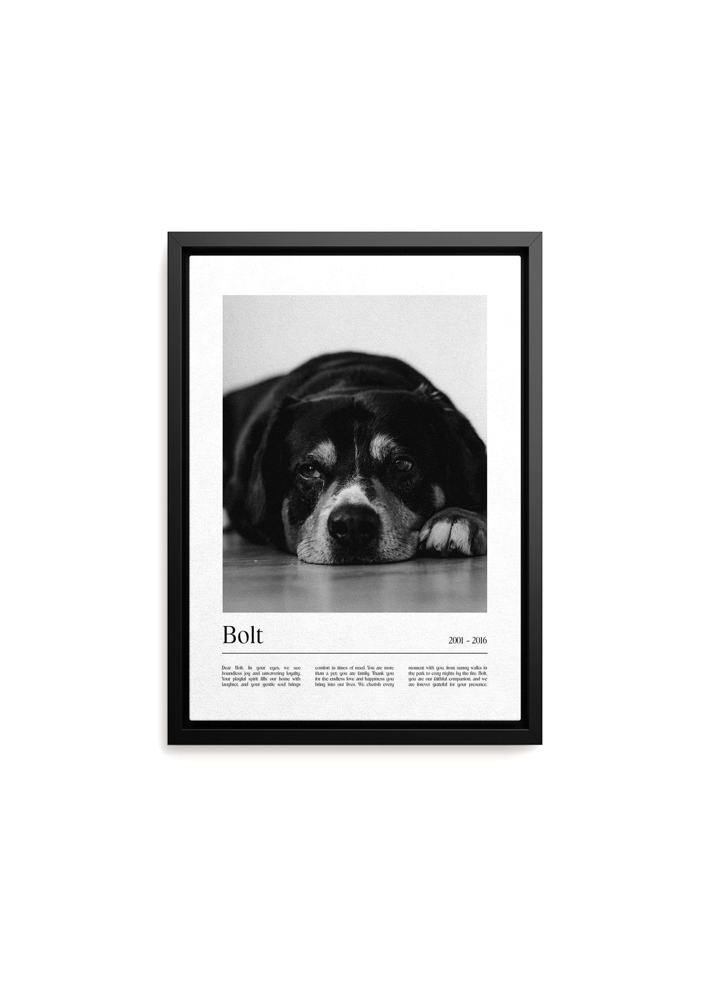 Unique Pet Memorial Ideas - California Custom Pet Canvas