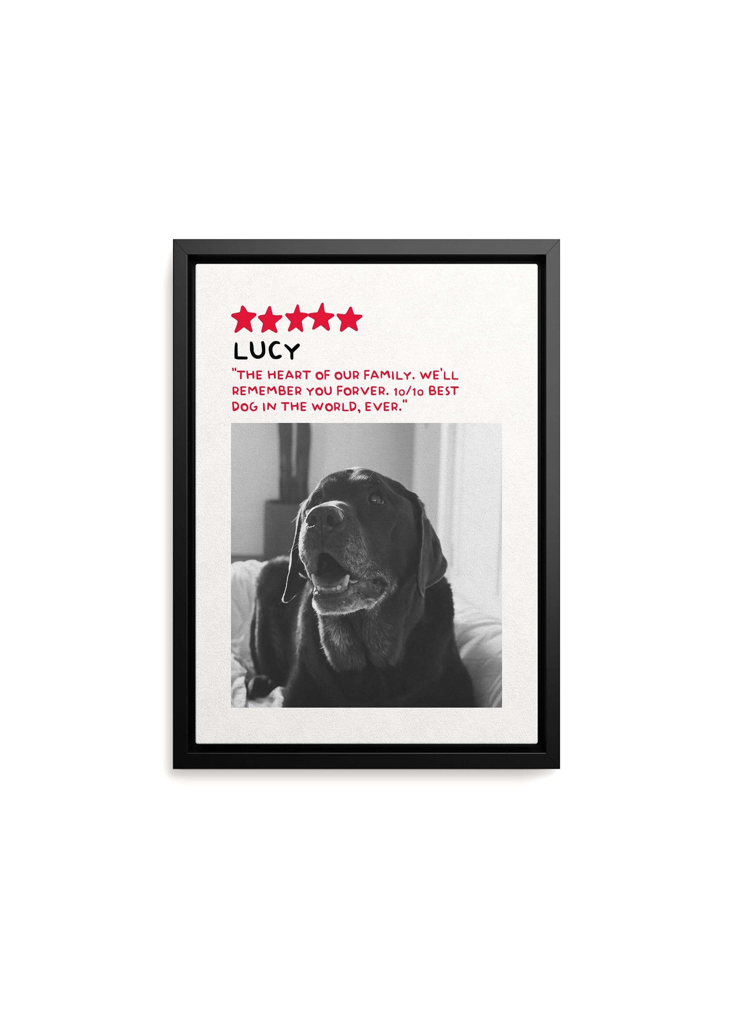 Unique Pet Memorial Gift - 5-Star Pet Review Canvas