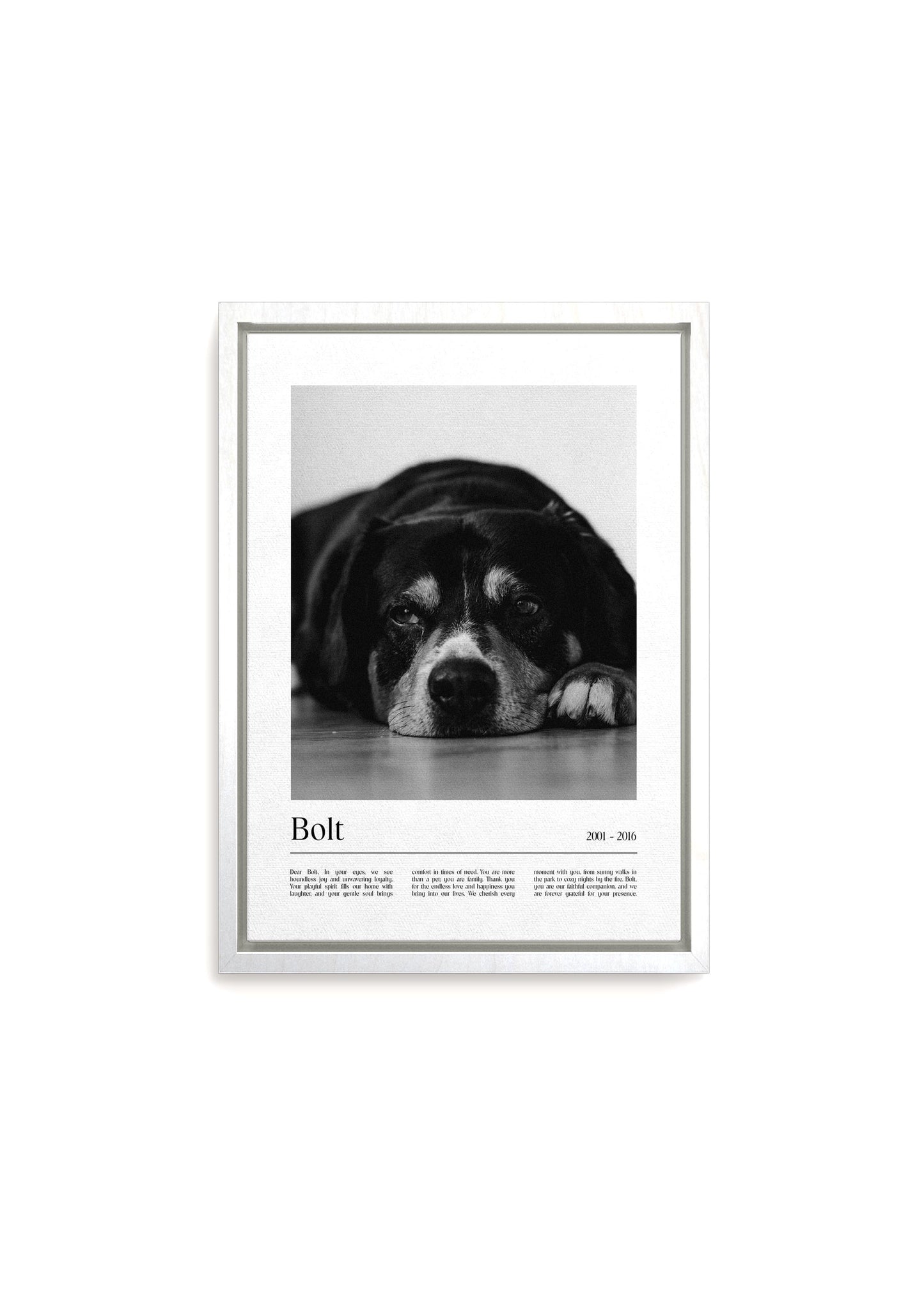 Unique Pet Memorial Ideas - California Custom Pet Canvas