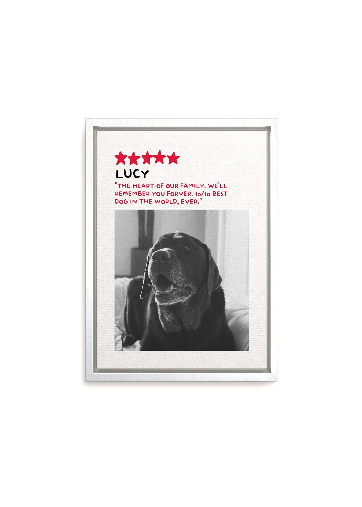 Unique Pet Memorial Gift - 5-Star Pet Review Canvas
