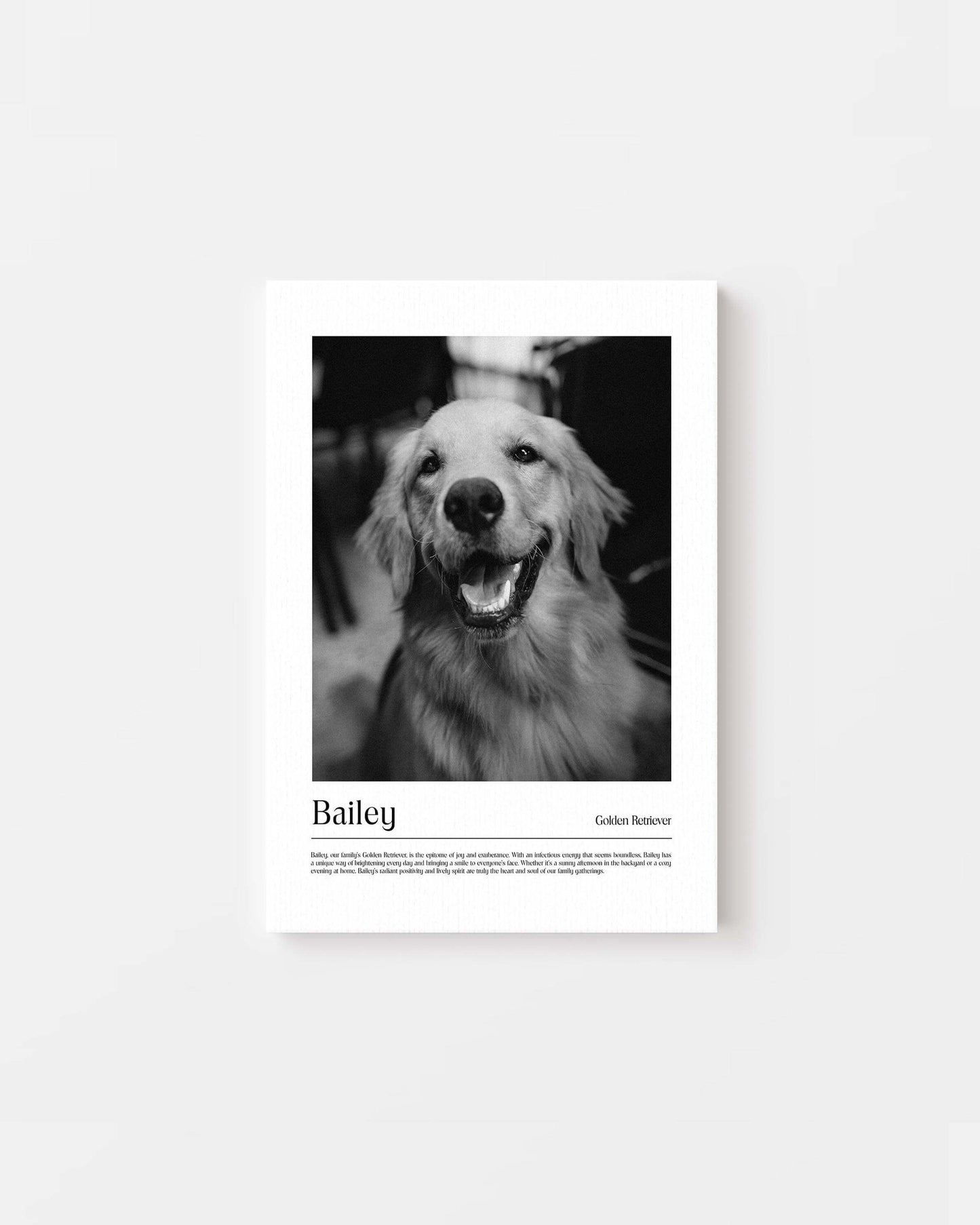 Golden retriever dog photo printed as black and white art and custom framed and personalized in modern home decor setting making a unique custom gift for dog mom and dog dad pet parents created by vogue paws personalized pet portraits