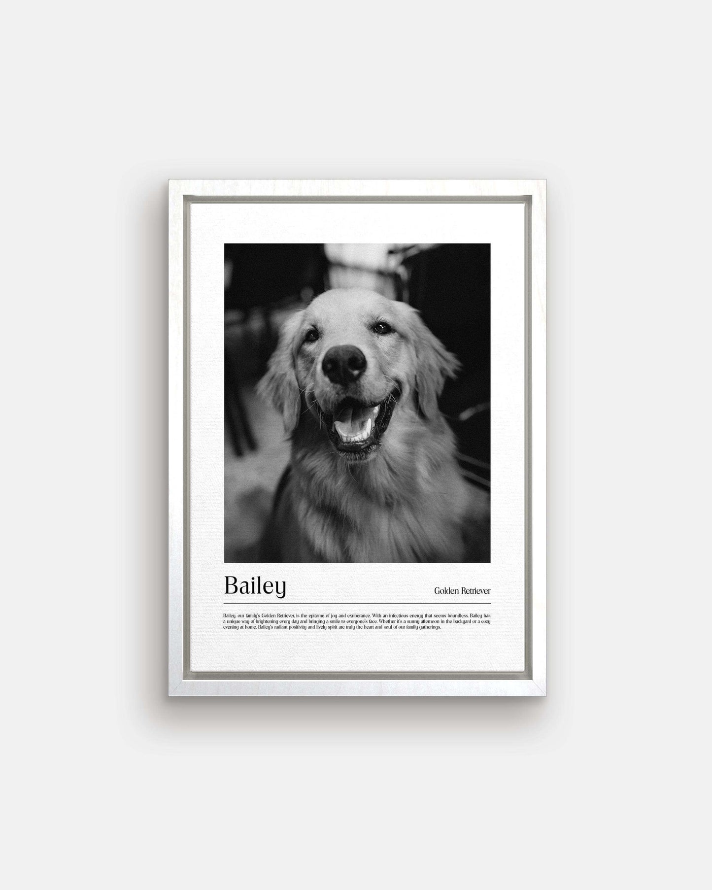 Golden retriever dog photo printed as black and white art and custom framed and personalized in modern home decor setting making a unique custom gift for dog mom and dog dad pet parents created by vogue paws personalized pet portraits