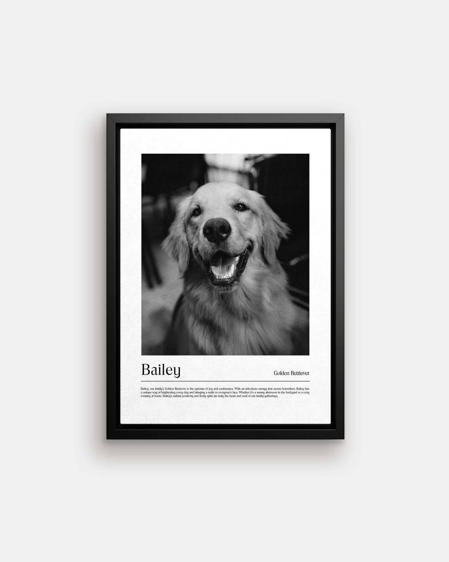Golden retriever dog photo printed as black and white art and custom framed and personalized in modern home decor setting making a unique custom gift for dog mom and dog dad pet parents created by vogue paws personalized pet portraits