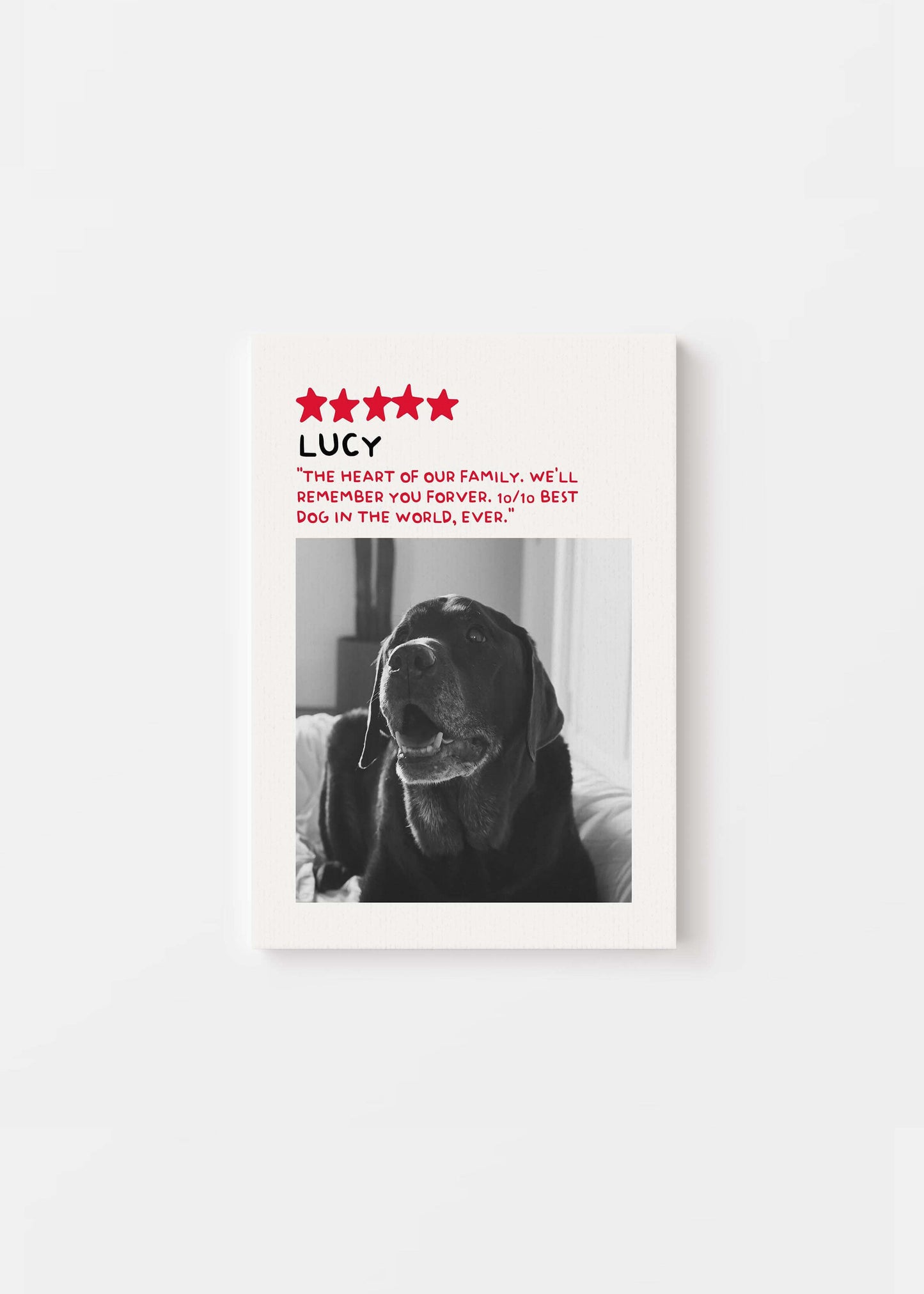 Unique Pet Memorial Gift - 5-Star Pet Review Canvas