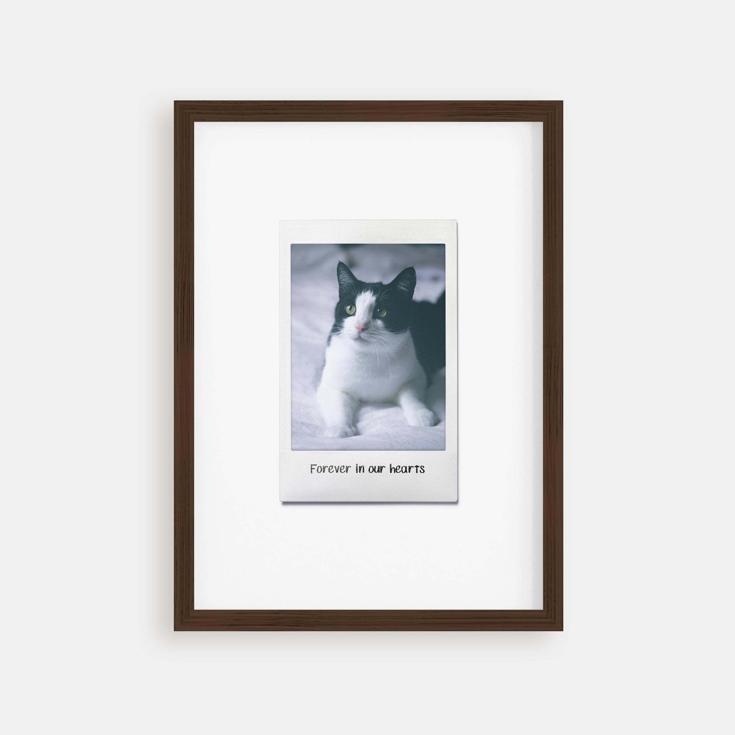 Personalized cat portrait in a picture frame with custom details, featuring a custom photo of a beloved feline. Ideal for custom pet portraits, this artwork serves as a beautiful cat memorial gift or personal pet art for the home. Perfect for custom pet frames, personalized pet portrait art, and custom cat artwork.