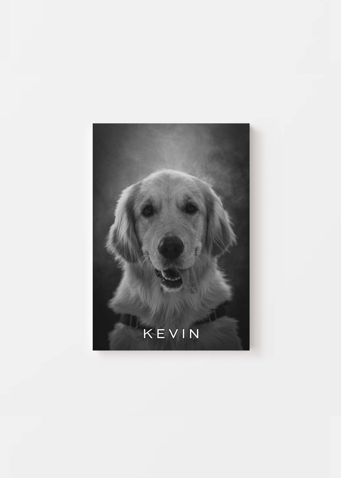 Unique Pet Memorial Ideas - Noir Custom Pet Canvas