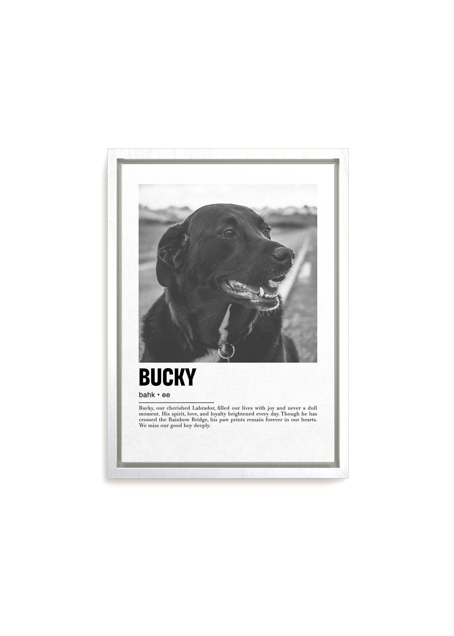 Unique Pet Memorial Ideas - Parisian Custom Pet Canvas