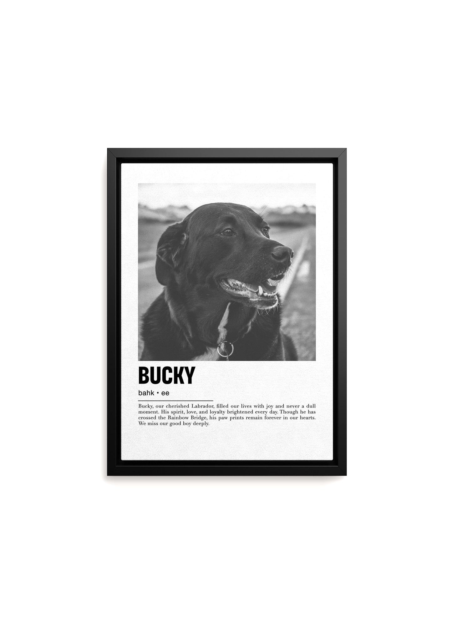 Unique Pet Memorial Ideas - Parisian Custom Pet Canvas