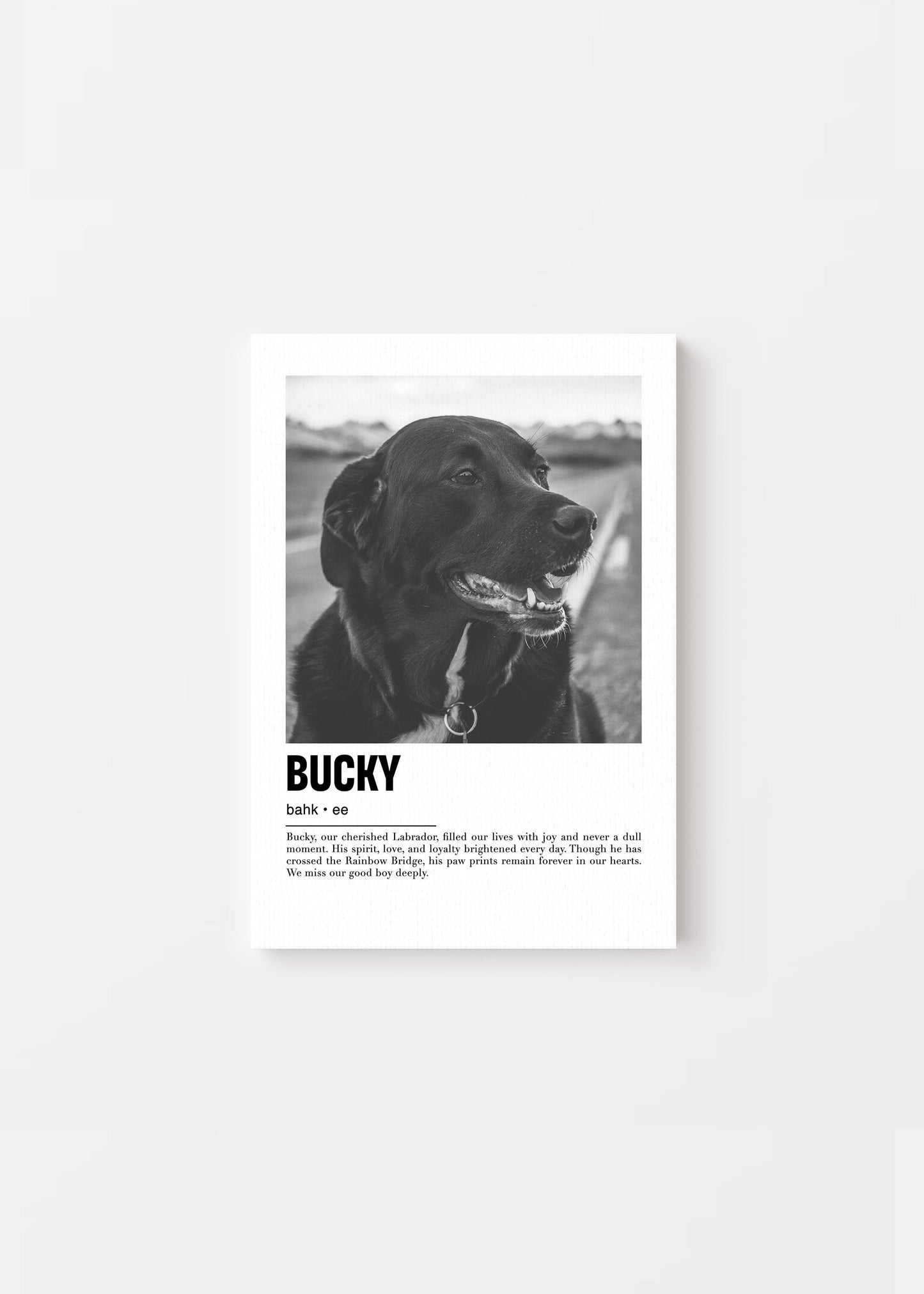 Unique Pet Memorial Ideas - Parisian Custom Pet Canvas