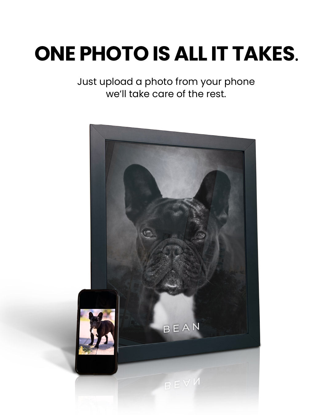 Vogue Noir - Custom Pet Poster