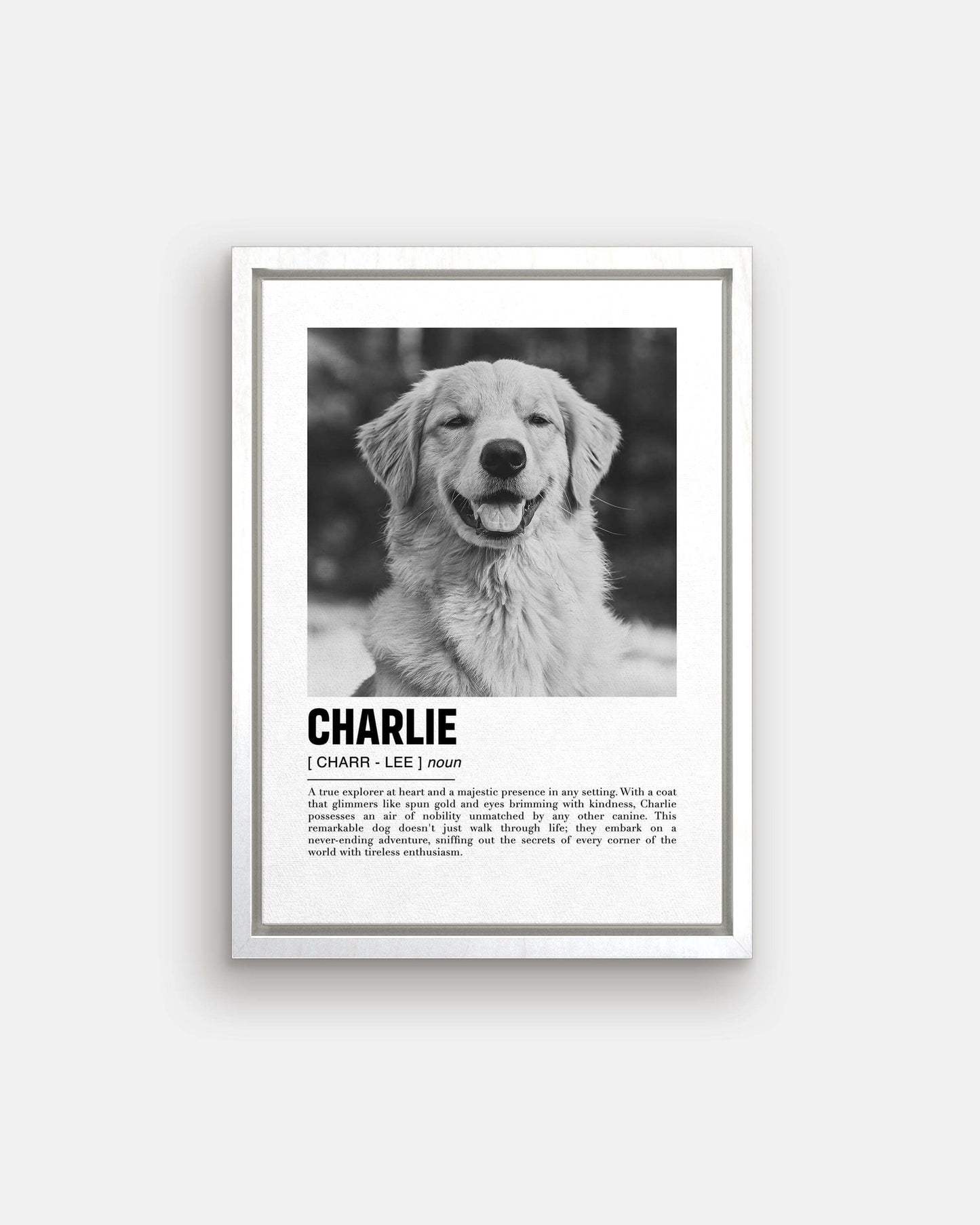 golden retriever dog photo printed onto white floating canvas to make the perfect pet portrait gift idea for dog mom and dog dad pet parents made by vogue paws pet art on demand