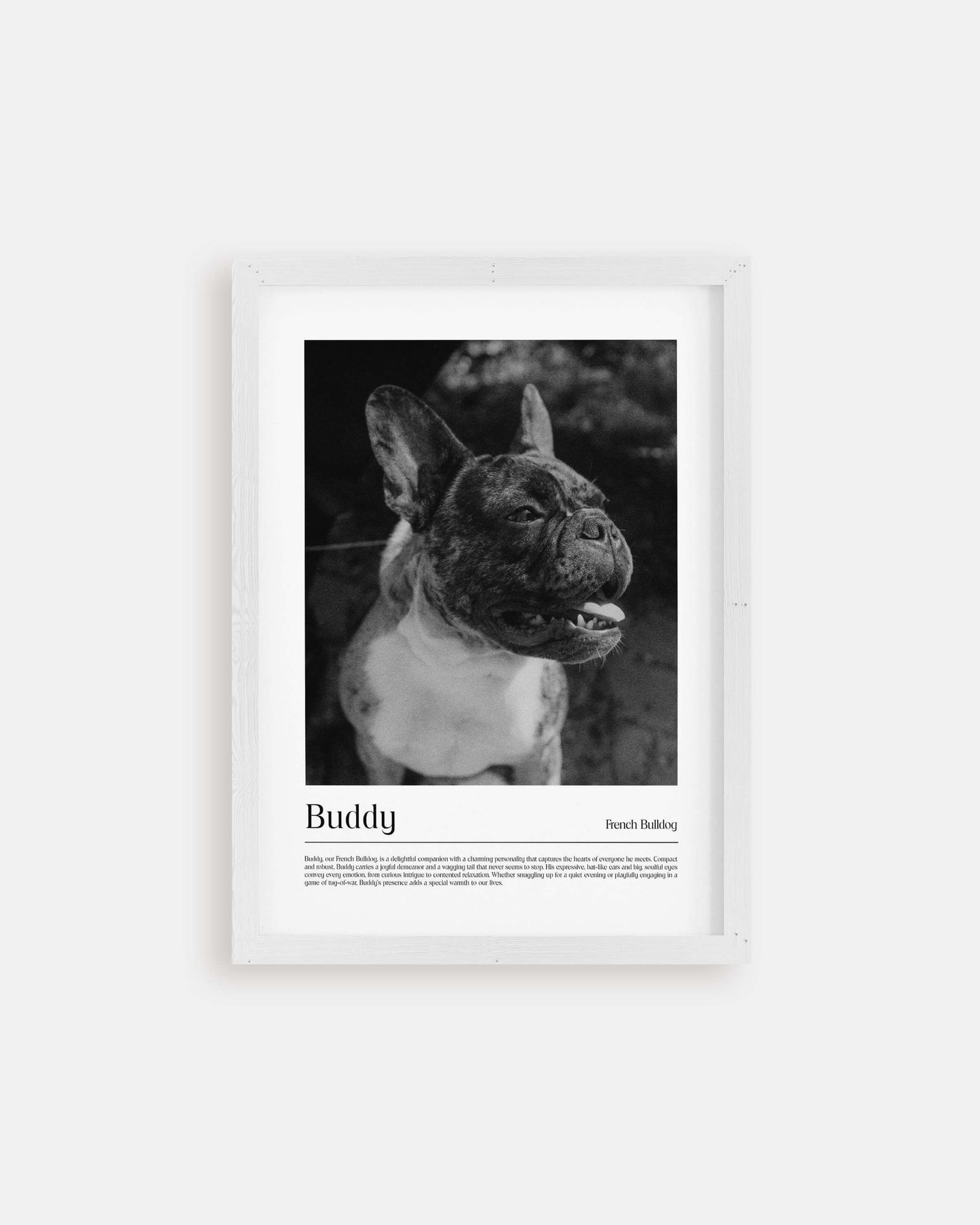 dog photo printed as black and white art and custom framed and personalized in modern home decor setting making a unique custom gift for dog mom and dog dad pet parents created by vogue paws personalized pet portraits