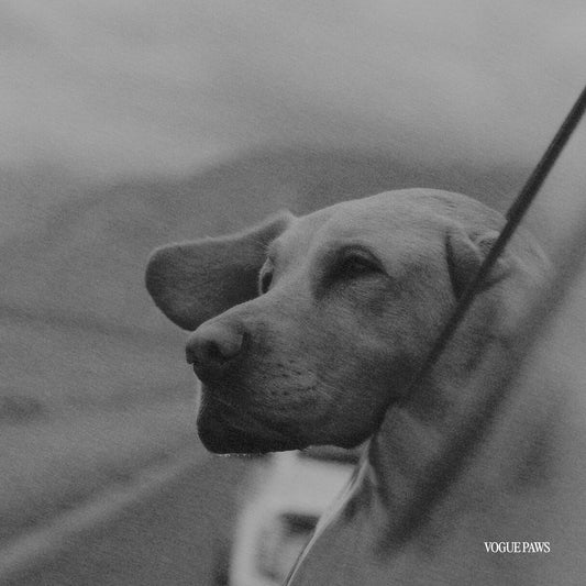 What to gift someone who lost a pet