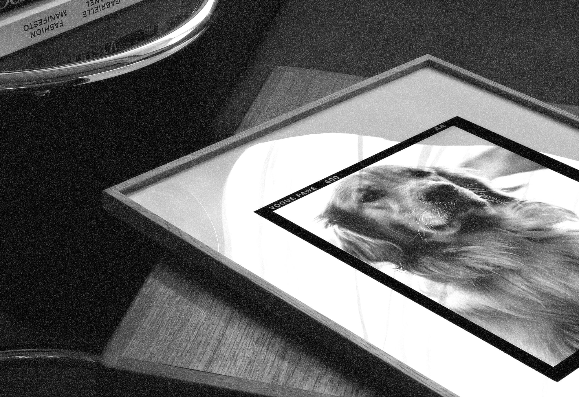 black and white art of personalized pet portrait poster in a frame by vogue paws the perfect gift idea or pet memorial for a dog dad dog mom or pet parent