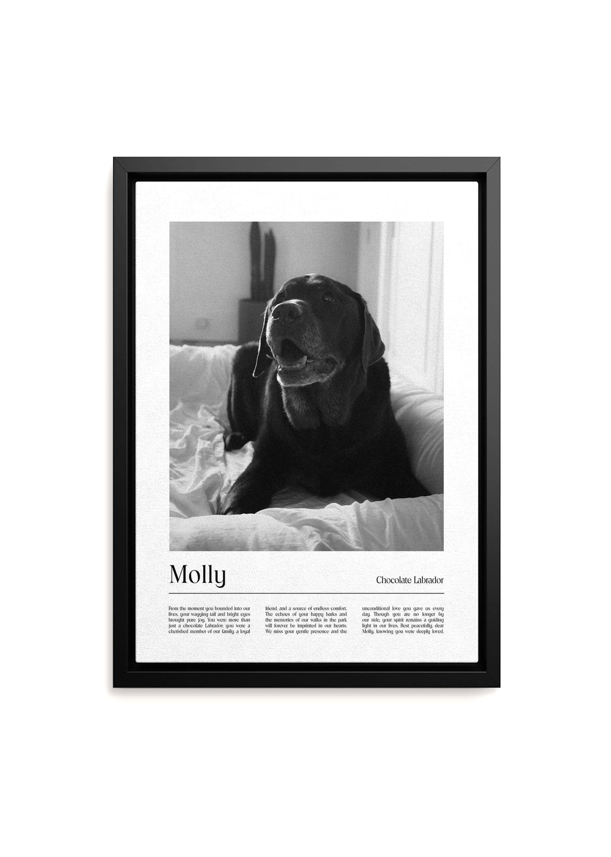 dog memorial pet art canvas in black and white in black frame.