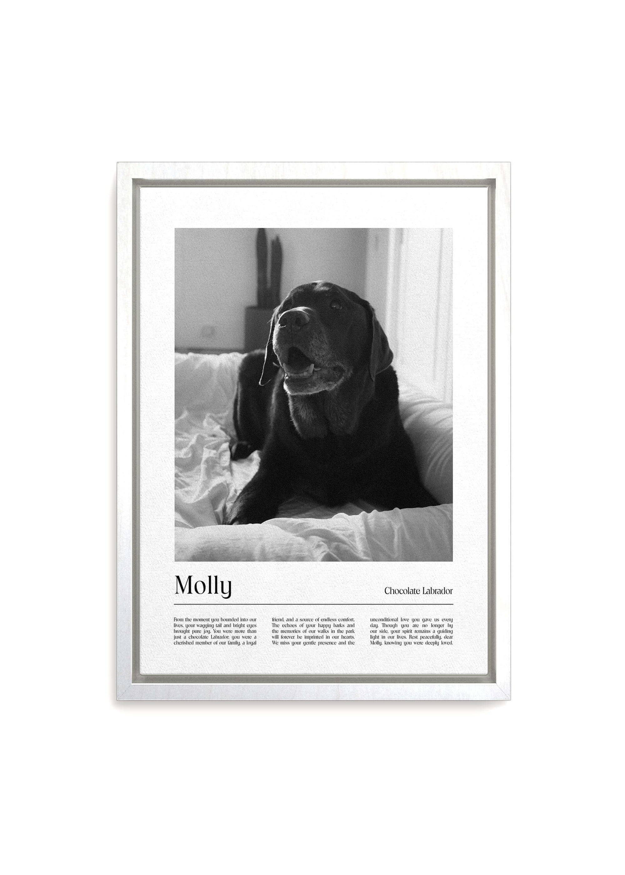 dog memorial pet art canvas in black and white in white frame.