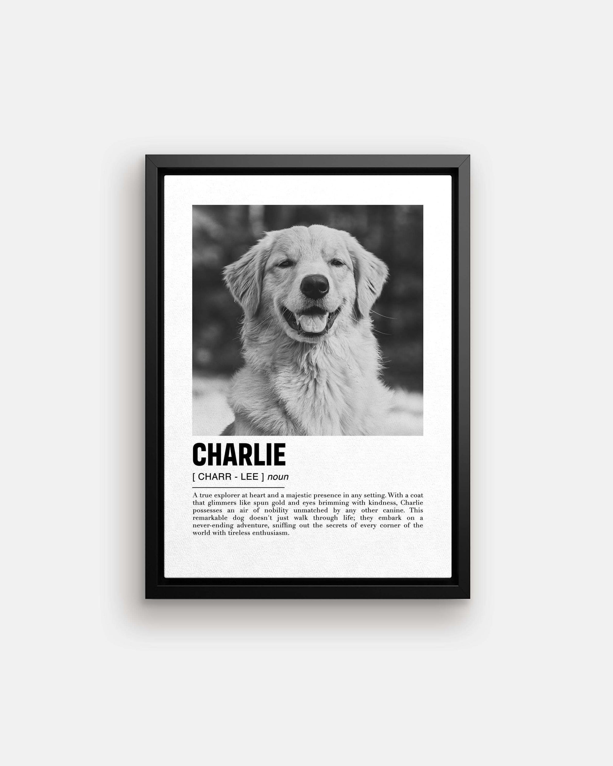 golden retriever dog photo printed onto black floating canvas to make the perfect pet portrait gift idea for dog mom and dog dad pet parents made by vogue paws pet art on demand