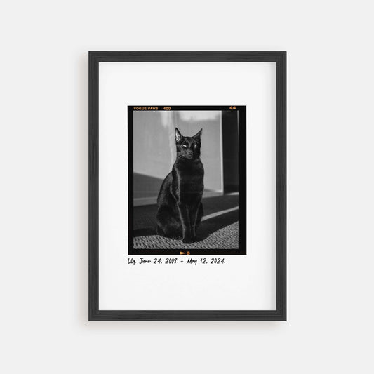 Personalized cat portrait in a picture frame with custom details, featuring a custom photo of a beloved feline. Ideal for custom pet portraits, this artwork serves as a beautiful cat memorial gift or personal pet art for the home. Perfect for custom pet frames, personalized pet portrait art, and custom cat artwork.