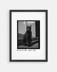 Personalized cat portrait in a picture frame with custom details, featuring a custom photo of a beloved feline. Ideal for custom pet portraits, this artwork serves as a beautiful cat memorial gift or personal pet art for the home. Perfect for custom pet frames, personalized pet portrait art, and custom cat artwork.