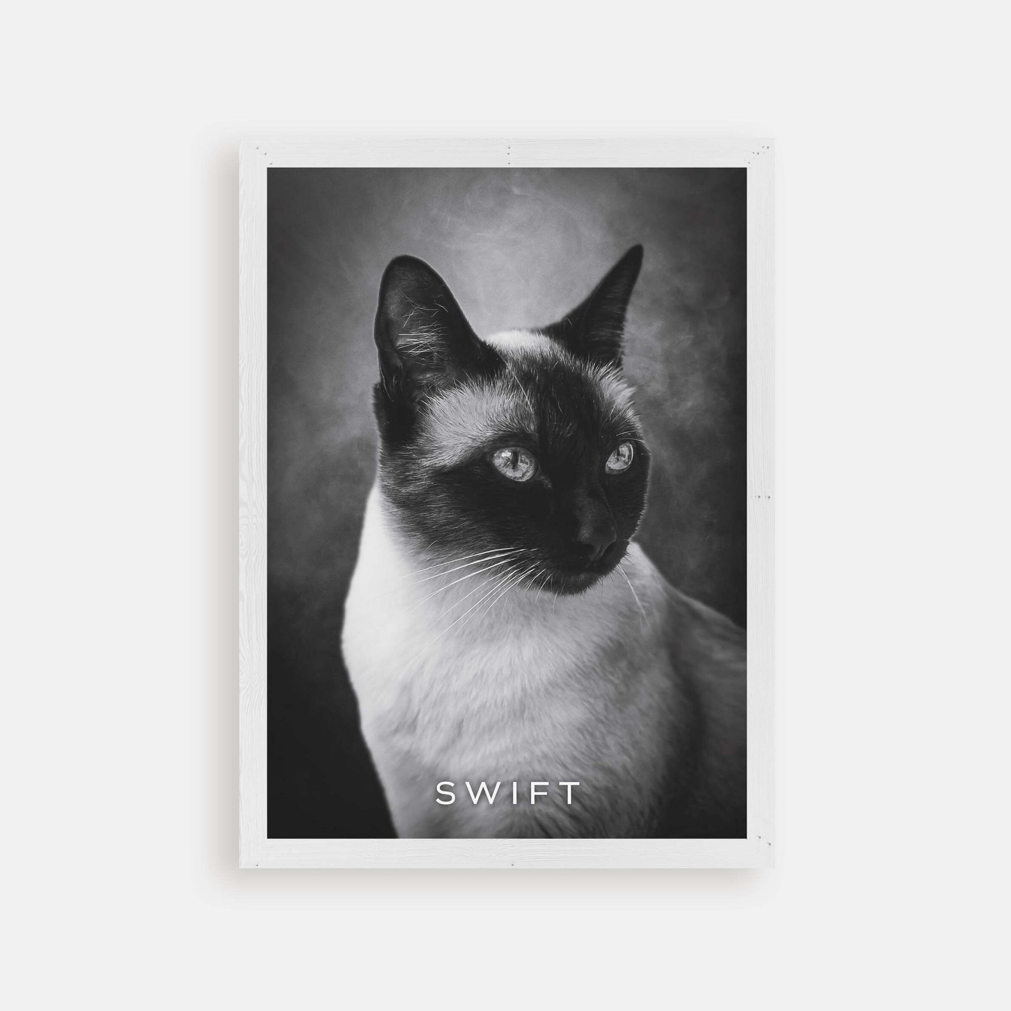 cat memorial art gift ideas in personalized frame