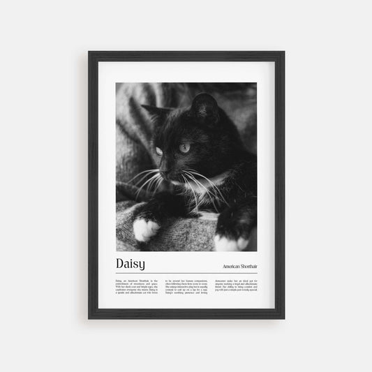 Personalized cat portrait in a picture frame with custom details, featuring a custom photo of a beloved feline. Ideal for custom pet portraits, this artwork serves as a beautiful cat memorial gift or personal pet art for the home. Perfect for custom pet frames, personalized pet portrait art, and custom cat artwork.