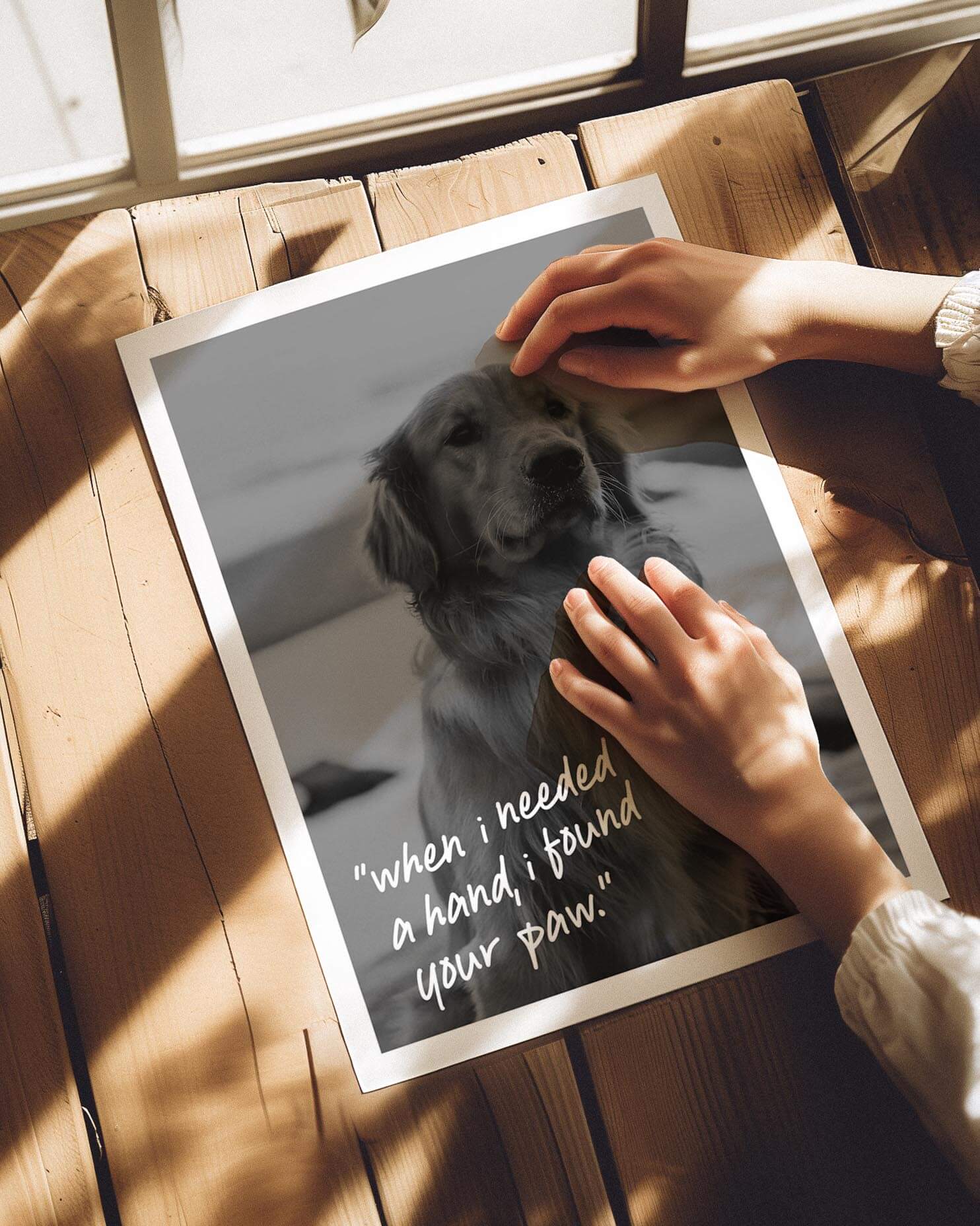 Vogue Tribute Custom Pet Poster – Vogue Paws - Main Image