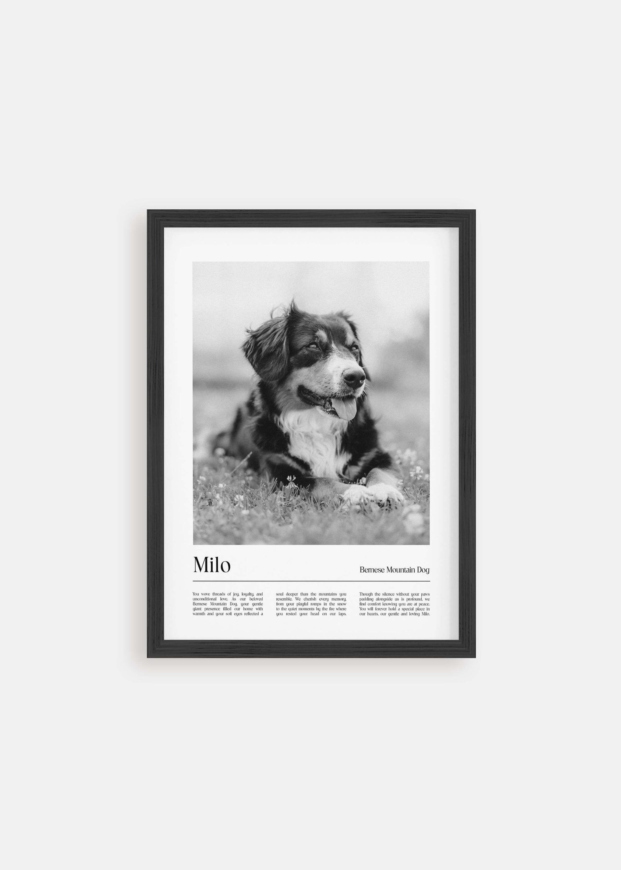 dog memorial black and white pet art photo in black frame.