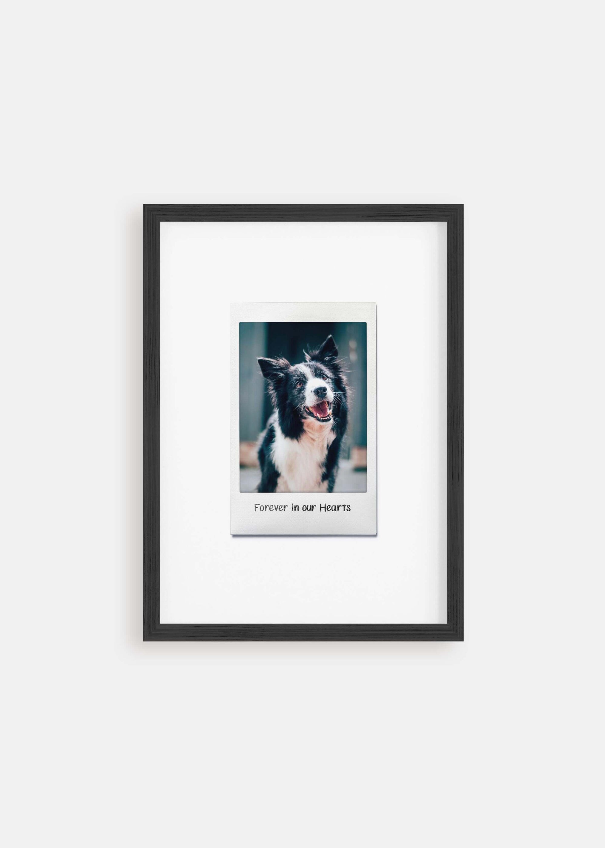 Dog memorial instant film pet art in black frame.