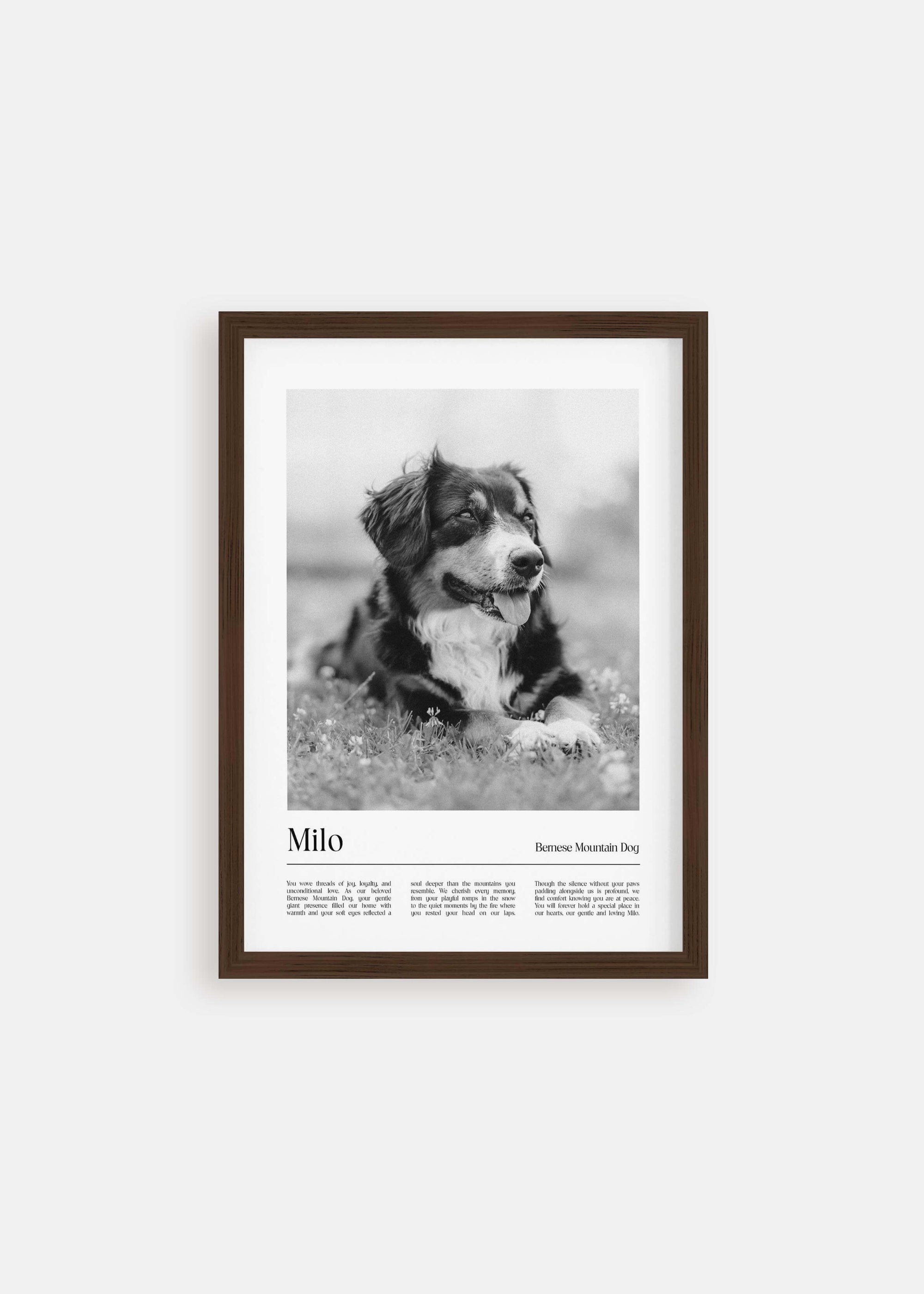dog memorial black and white pet art photo in walnut frame.