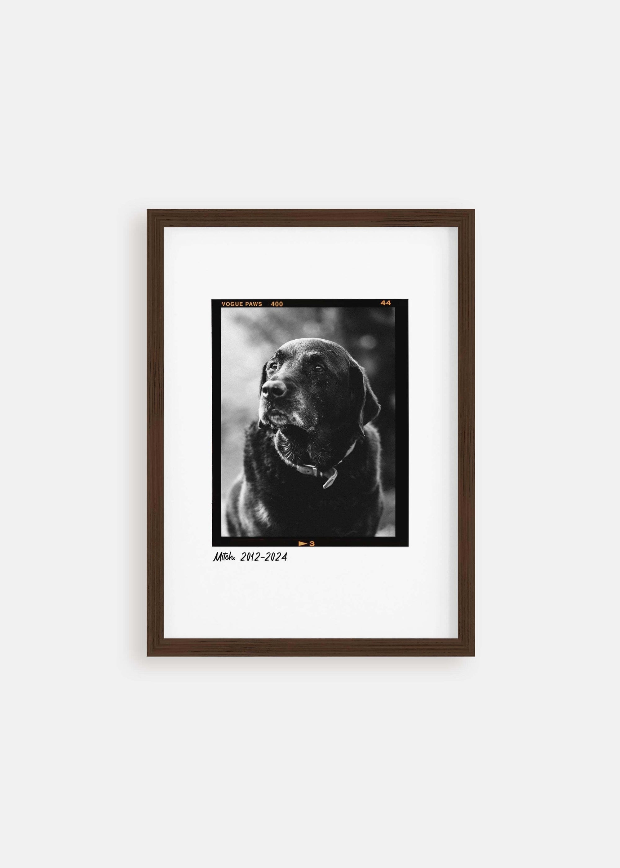 dog memorial pet art, black and white photo in walnut frame.